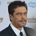Picture of Benicio Del Toro,  Traffic