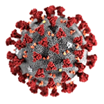 Picture of COVID-19, Infectious disease