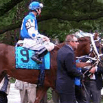 Smarty Jones horse